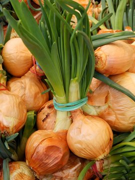 onions with green leaves