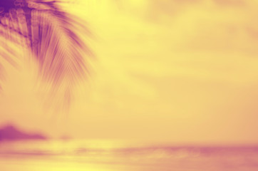 Blur palm tree on tropical sunset beach abstract background