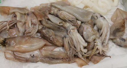 calamars encornets