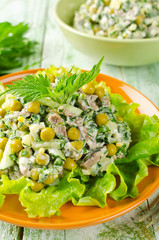 Fresh salad vegetables, beef and nettles