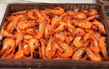 crevettes roses