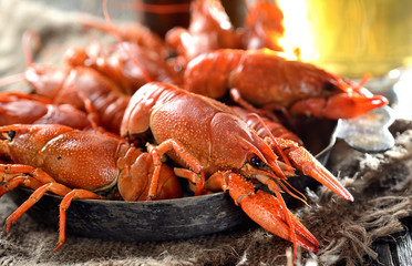 boiled crawfish and beer on a wooden background
