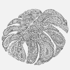 Monstera leaves illustration in paisley style. Tropical jungle plant. Vector eps10. Retro vintage style.