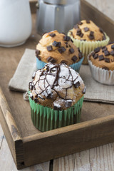Chocolate muffins