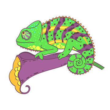 Vector Chameleon and the flower on a white background