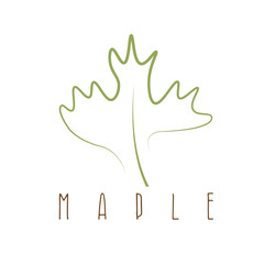 maple leaf abstract outline vector design template