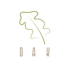oak leaf abstract outline vector design template