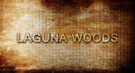 laguna woods, 3D rendering, text on a metal background © Argus
