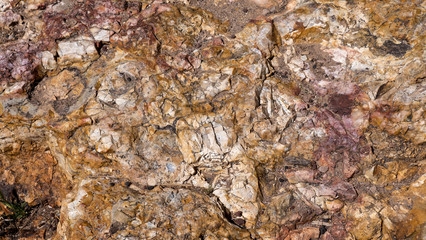 Sandstein - Nahaufnahme - Hintergrund