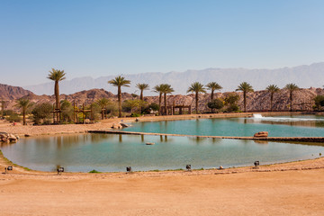 The Timna Lake in the Negev desert