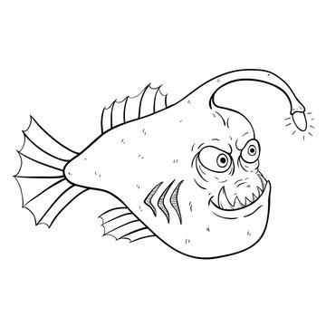 Black And White Funny Angler Fish Or Monkfish Look At His Light