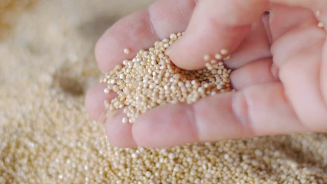 Close up of a hand grabbing a handful of quinoa