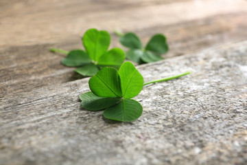 Green clover leaves on wooden background, closeup