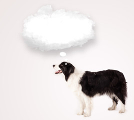 Cute dog with empty cloud bubble
