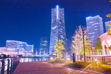 Obraz premium 横浜みなとみらいの夜景