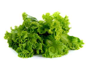 Obraz premium Lettuce leaf on white back ground