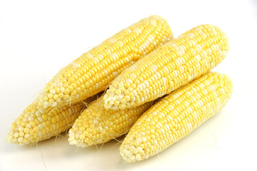 fresh raw corn cob on white background