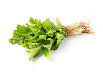 Fototapeta premium mizuna vegetation isolated