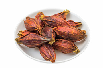 くちなしの実　 Fruit of the gardenia