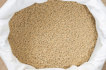 animal feed