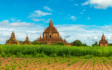 Fototapeta premium Bagan temples, Myanmar