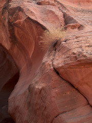 close-up shot of rock.