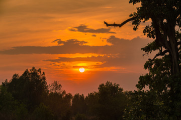 fantastic sunset on jungle - sunbeams glare
