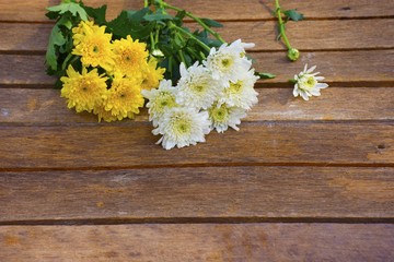 White and yellow chrysanthemums with sunshine on old wooden background.