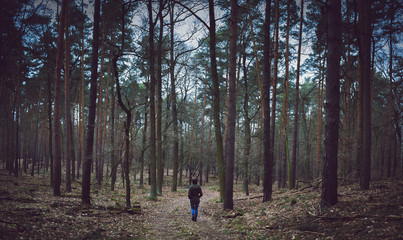 Obraz premium loner man walking in forest