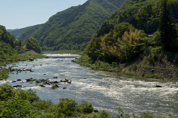 Fototapeta na wymiar 江の川