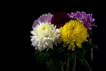 Bouquet of carnations