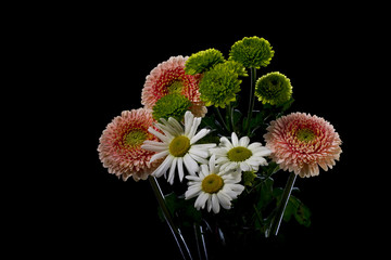 Bouquet of Gerbera and chamomile