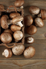 Brown cap mushrooms in basket