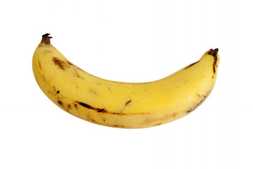 Cavendish Banana Fruit