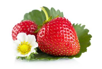 Macro whole strawberries with leaf and flower isolated on white