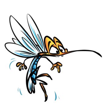 Insect mosquito cartoon illustration isolated image