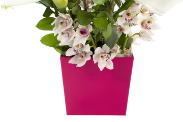 cropped image of flower vase.