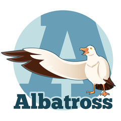 ABC Cartoon Albatross