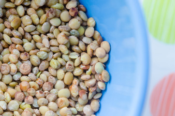 Blue bowl of lentils