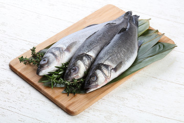 Seabass