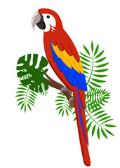 Parrots Cartoon Vector Illustration. Parrot set Exotic birds