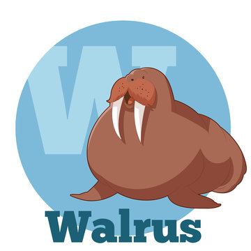 ABC Cartoon Walrus