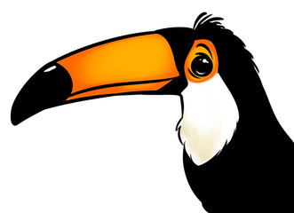 Naklejka premium Toucan bird big beak cartoon illustration
