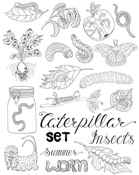 Hand drawn set with caterpillars, worms and pests