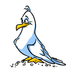 Bird Seagull cartoon illustration  isolated image animal character
