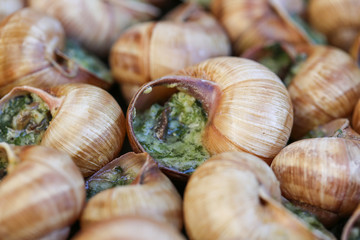 Escargot