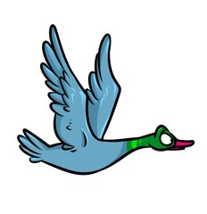 Duck flight cartoon illustration isolated image