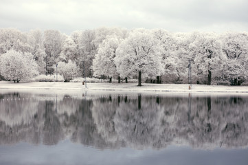Infrared landscape