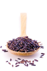 Black rice