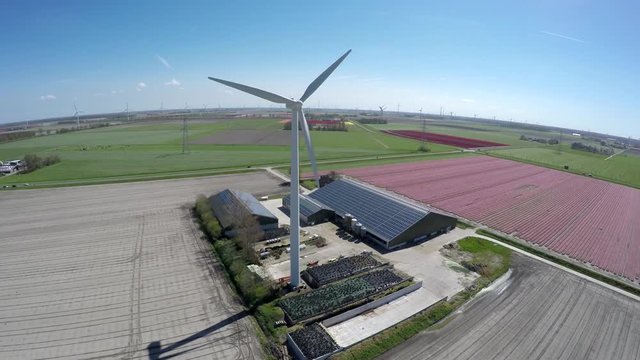 Aerial close by farm near colorful pink tulip field also showing wind turbine and farm shed with solar panel roof providing renewable energy to homes polder landscape springtime blue sky background 4k